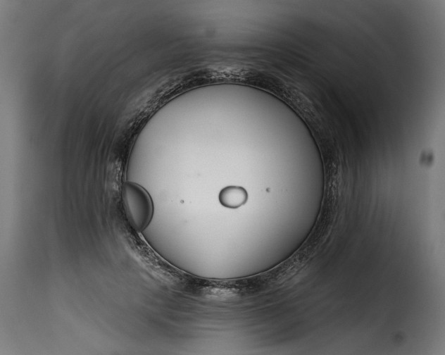 X0000115250649200911201643