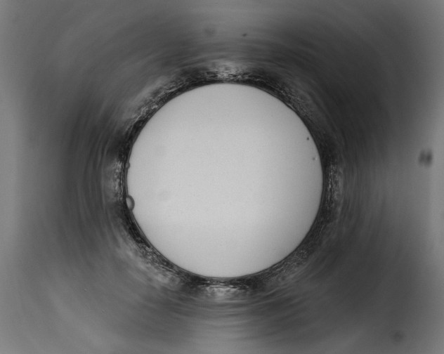 X0000115250650200911201643