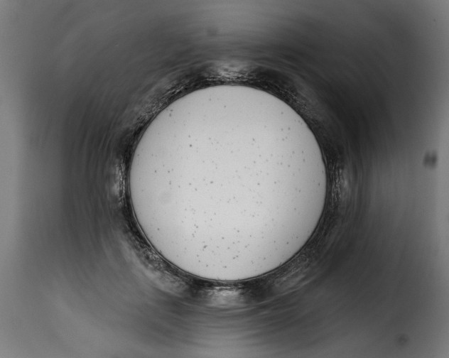 X0000115250651200911201643