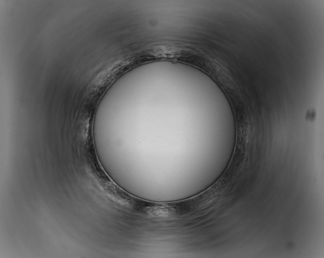 X0000115250652200911201643