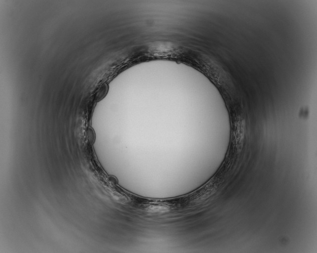 X0000115250653200911201643