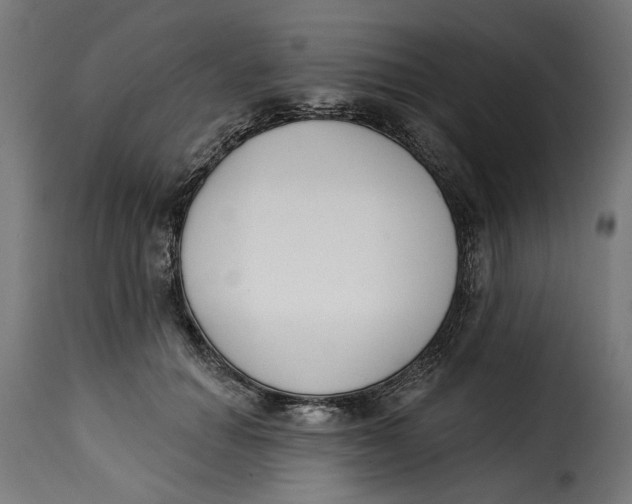 X0000115250654200911201643