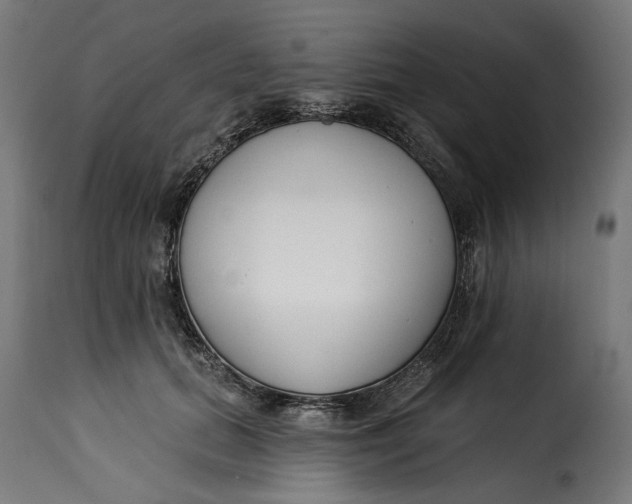 X0000115250655200911201643