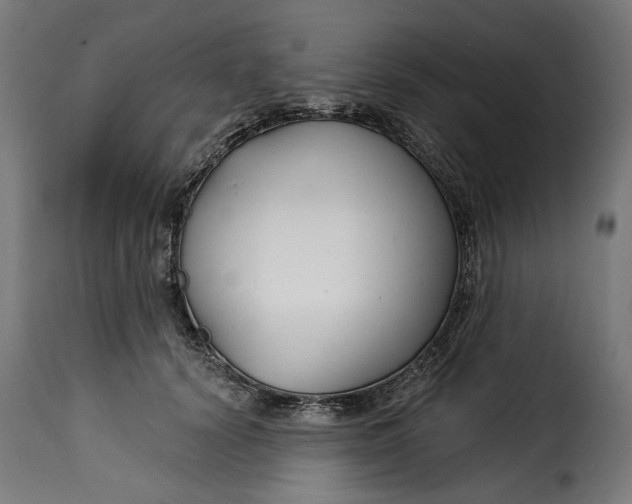 X0000115250656200911201643