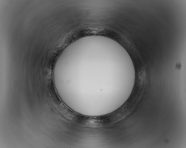 X0000115250657200911201643