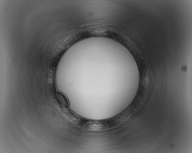 X0000115250658200911201643