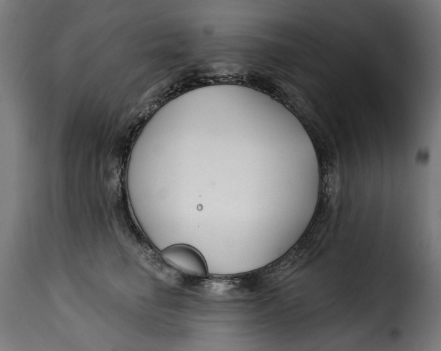 X0000115250662200911201643