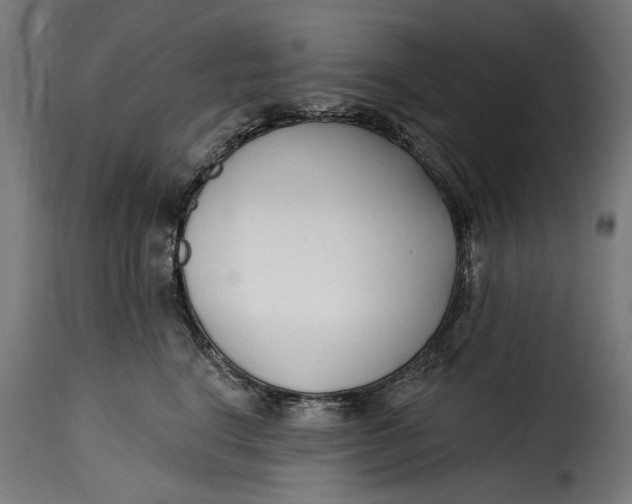 X0000115250664200911201643