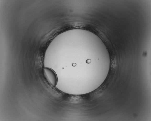 X0000115250666200911201643