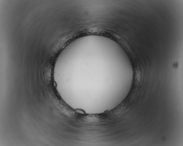 X0000115250668200911201644