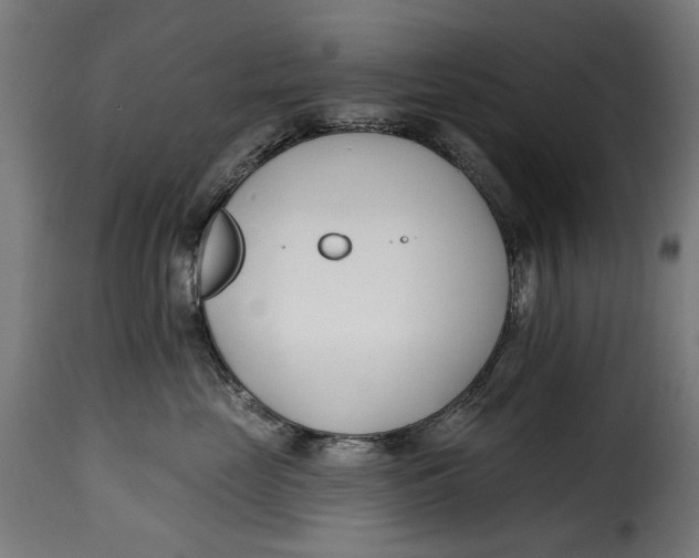 X0000115250669200911201644