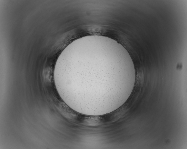 X0000115250671200911201644