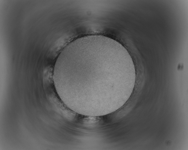 X0000115250672200911201644