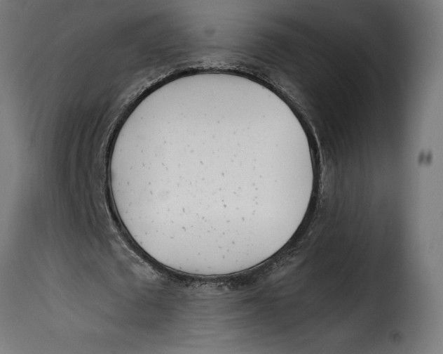 X0000115250673200911201643