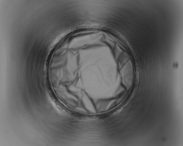 X0000115250674200911201643