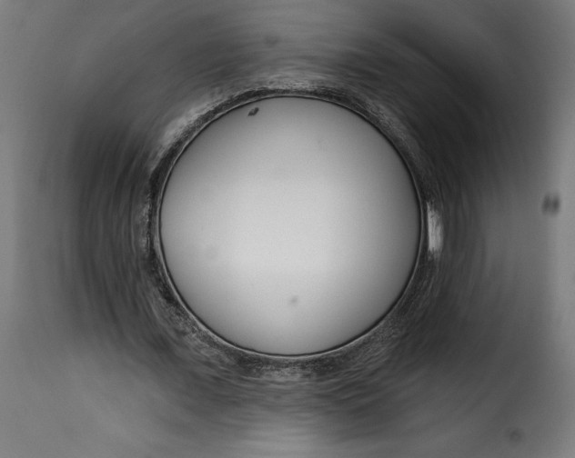 X0000115250675200911201643