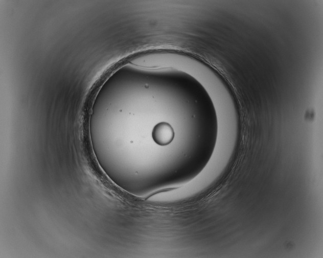 X0000115250676200911201643