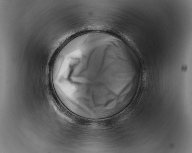 X0000115250678200911201643