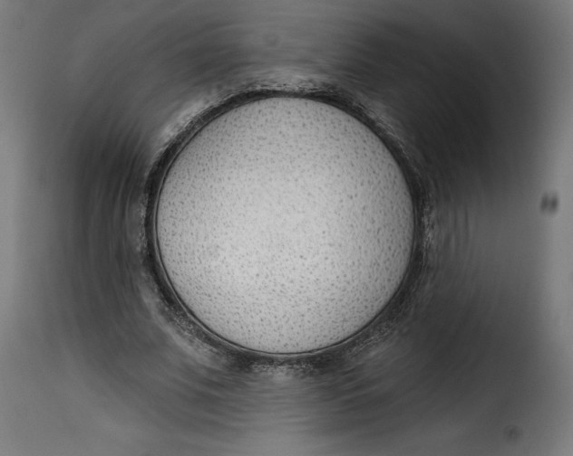 X0000115250679200911201643