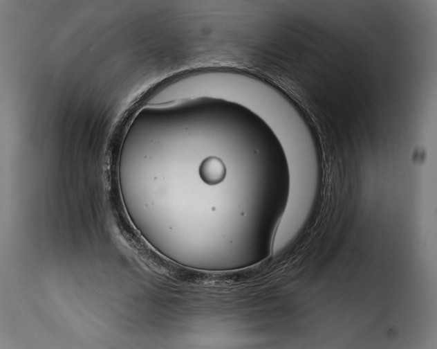 X0000115250680200911201643