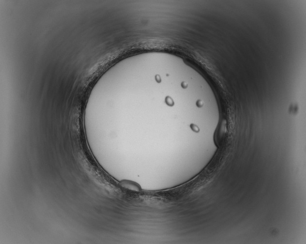 X0000115250681200911201643