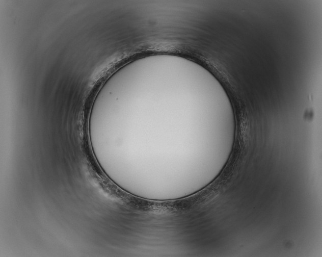 X0000115250682200911201643