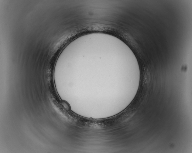 X0000115250683200911201643