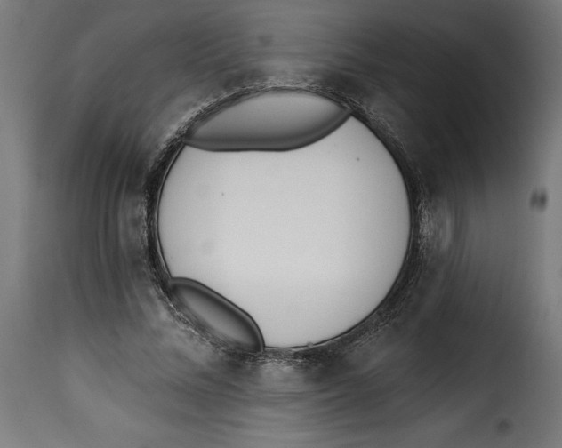 X0000115250684200911201643