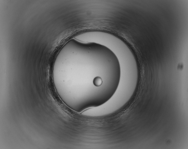 X0000115250685200911201643