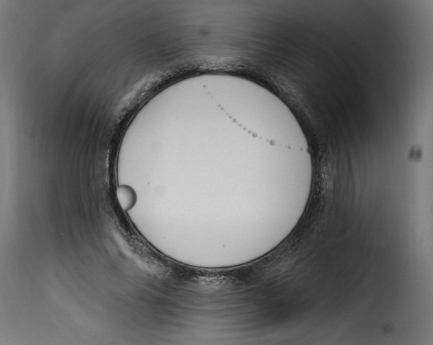 X0000115250686200911201643