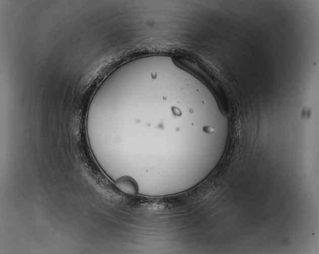 X0000115250687200911201643