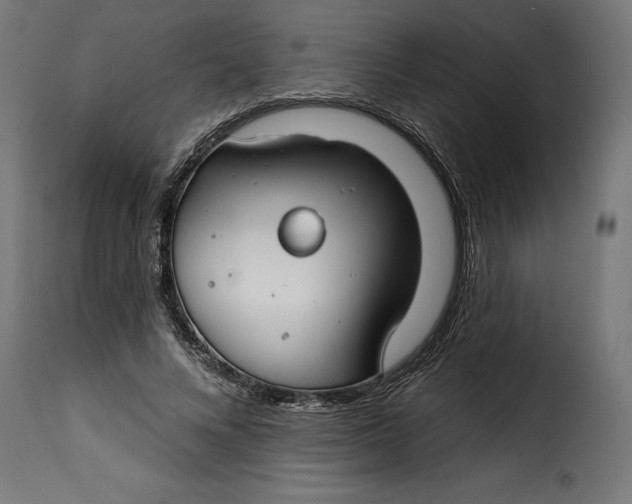 X0000115250688200911201643