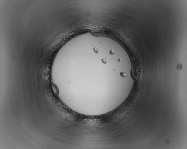 X0000115250689200911201643