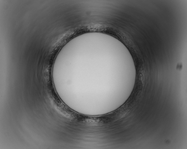 X0000115250690200911201643