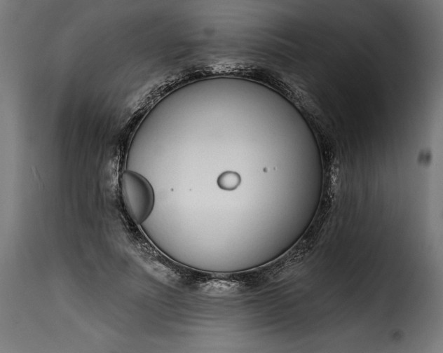 X0000115250691200911201642