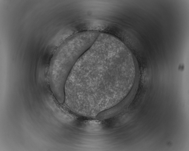 X0000115250692200911201642