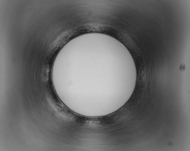 X0000115250694200911201642