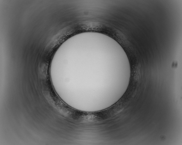 X0000115250695200911201642