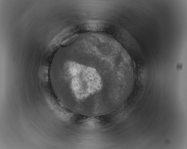 X0000115250696200911201642