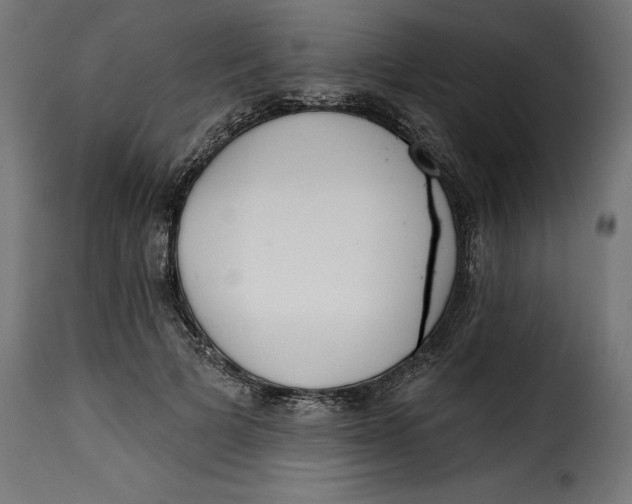 X0000115250697200911201642