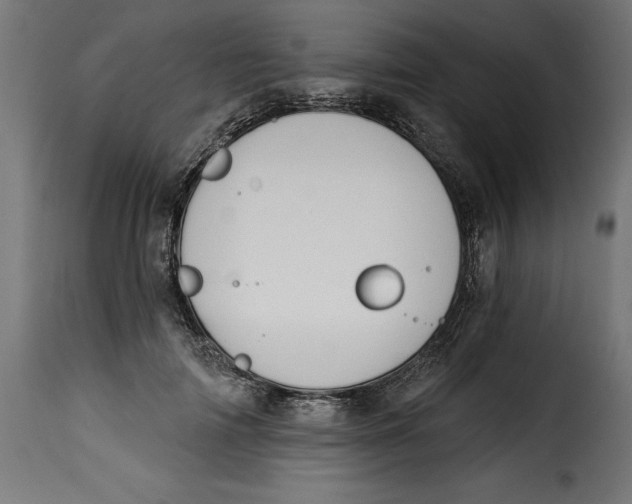 X0000115250698200911201642