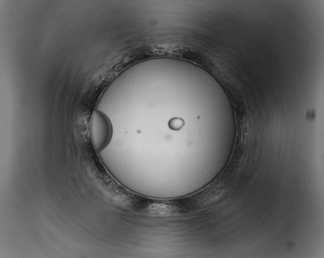 X0000115250699200911201642