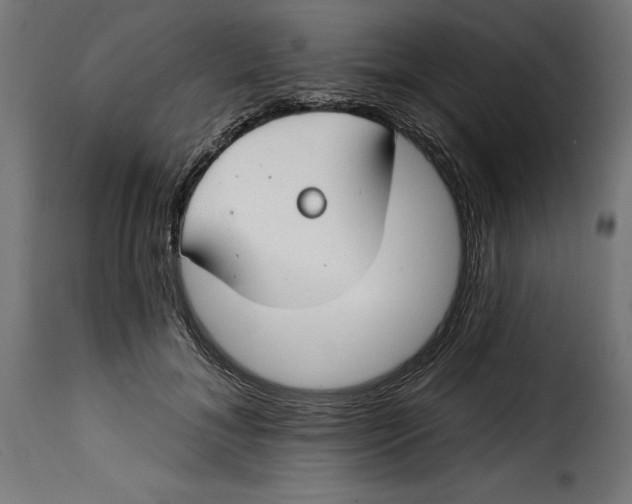 X0000115250700200911201642