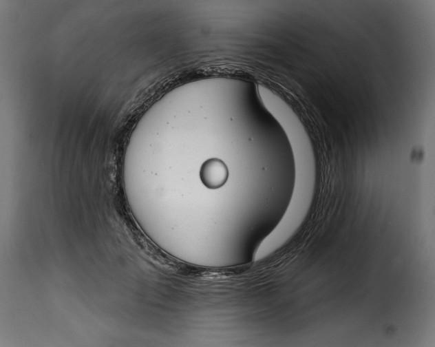 X0000115250701200911201642