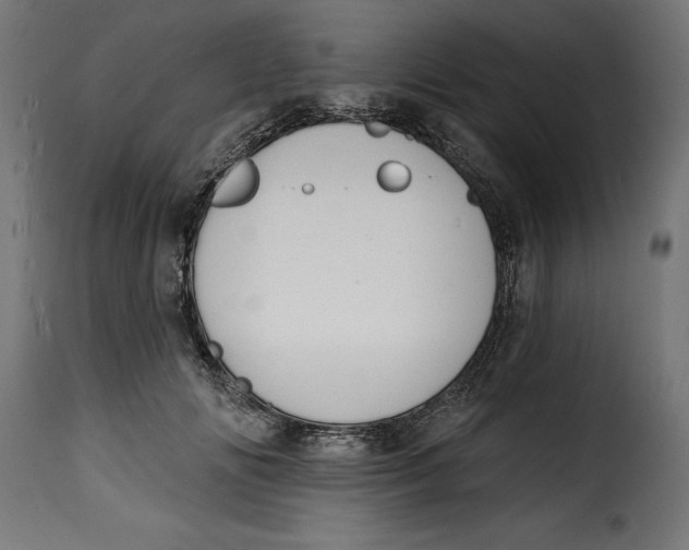 X0000115250702200911201642