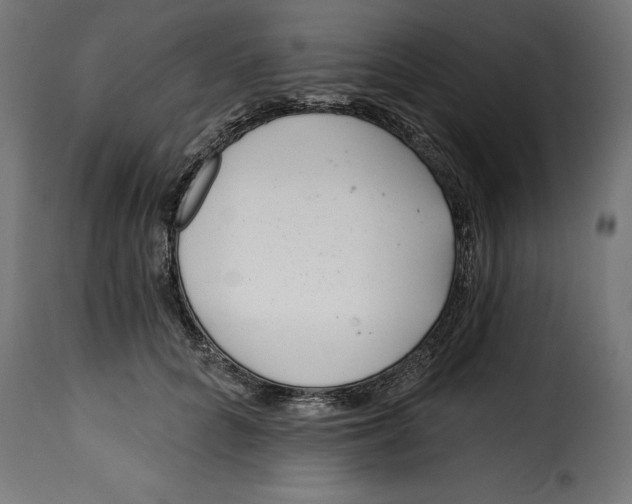 X0000115250704200911201642