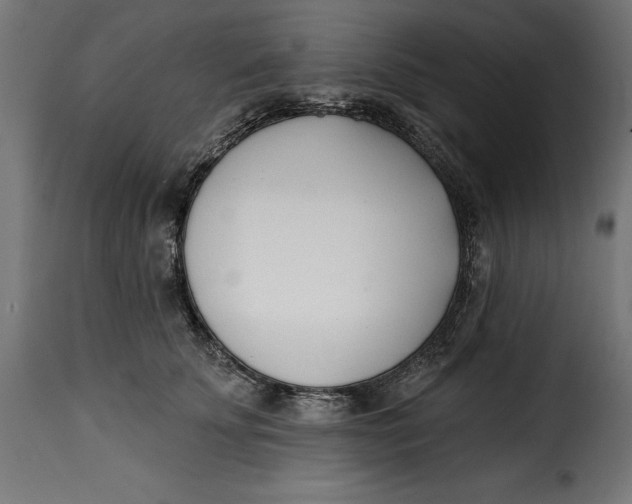 X0000115250707200911201642