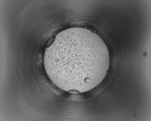 X0000115250708200911201642