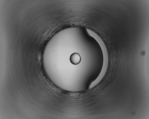 X0000115250709200911201642