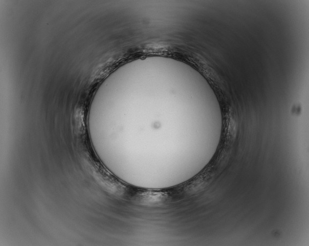 X0000115250711200911201642